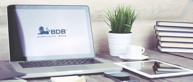 About-BDB