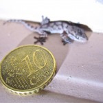 Draghi Drags Down the Euro