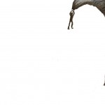 The Fiscal Cliff