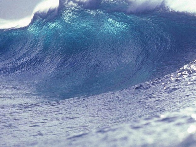 Toyota Shares After the Tsunami