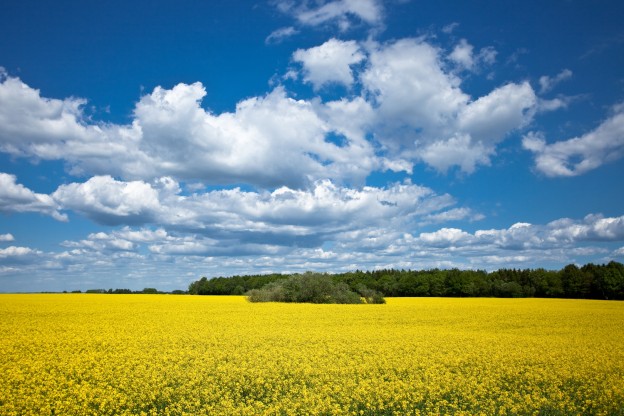 Finland Behind Tough Bailout Terms?