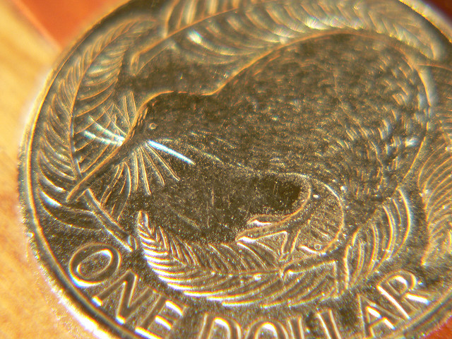 Gold Kiwi