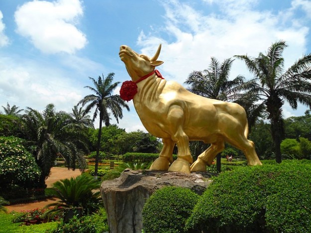gold bull