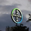 Bayer company
